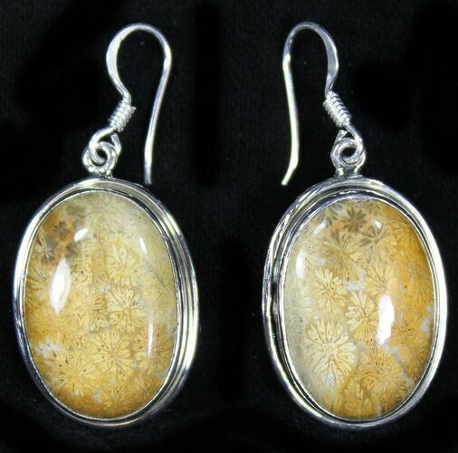 Beautiful Fossil Coral Sunburst Earrings - Sterling Silver #26576